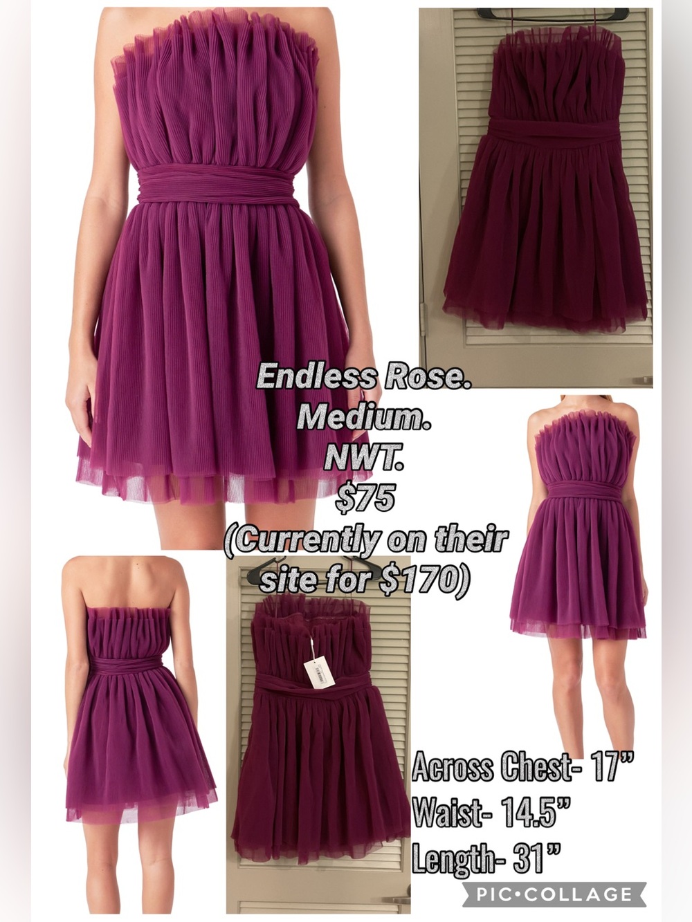 Endless Rose NWT Elegant Tulle Dress